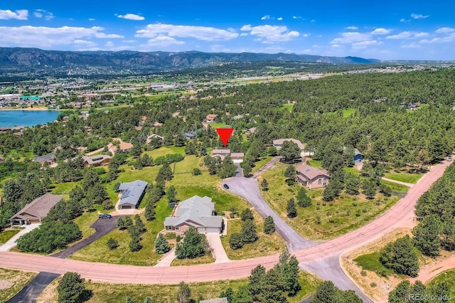 18680 Knollwood Blvd, Monument, CO 80132 - photo 33