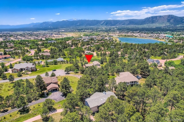 18680 Knollwood Blvd, Monument, CO 80132 - photo 34