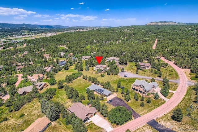 18680 Knollwood Blvd, Monument, CO 80132 - photo 35