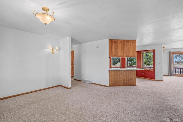 unfurnished living room featuring light carpet and a textured ceiling