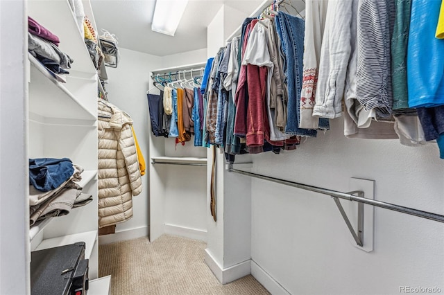 walk in closet with carpet flooring