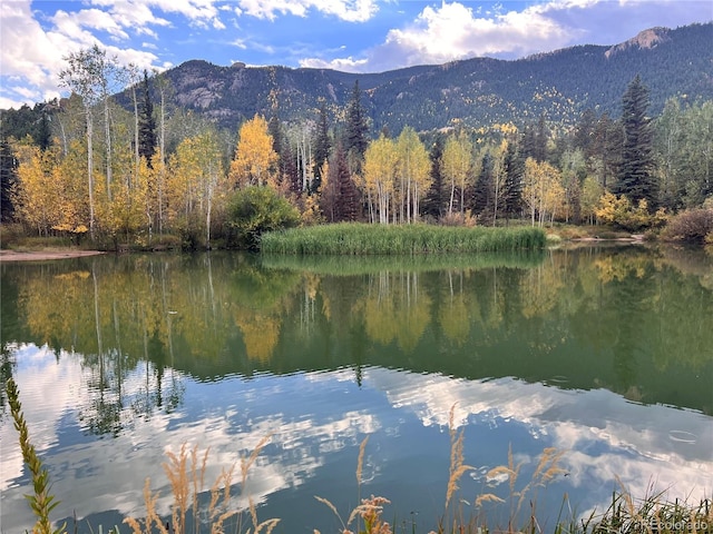 property view of water featuring a forest view and a mountain view