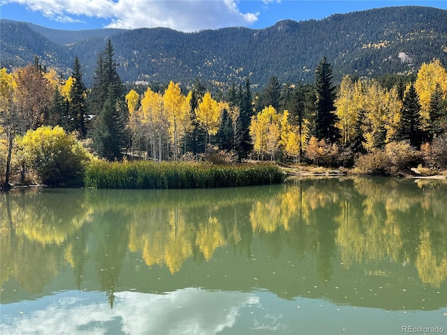 mountain view with a forest view and a water view
