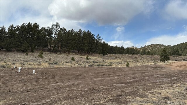 266 Good Hope Dr, Westcliffe, CO 81252