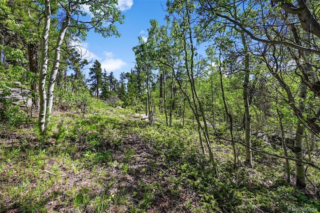 900 Rudi Ln, Golden, CO 80403