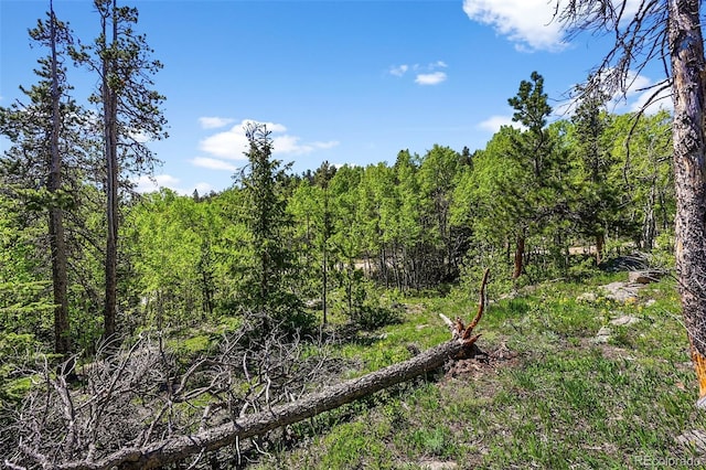 900 Rudi Ln, Golden, CO 80403