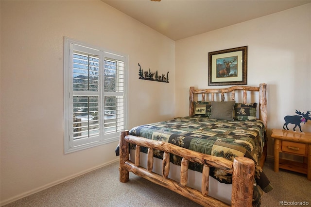523 Pulver Rd, Lake George, CO 80827 - bedroom featuring carpet floors and baseboards