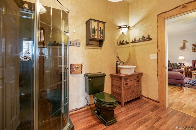 523 Pulver Rd, Lake George, CO 80827 - bathroom with wood finished floors, vanity, a textured wall, and a stall shower