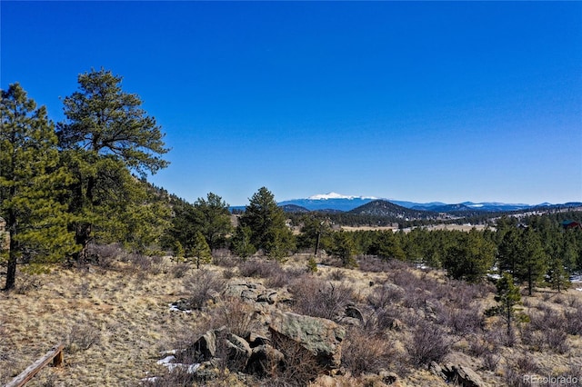 523 Pulver Rd, Lake George, CO 80827 - view of mountain backdrop