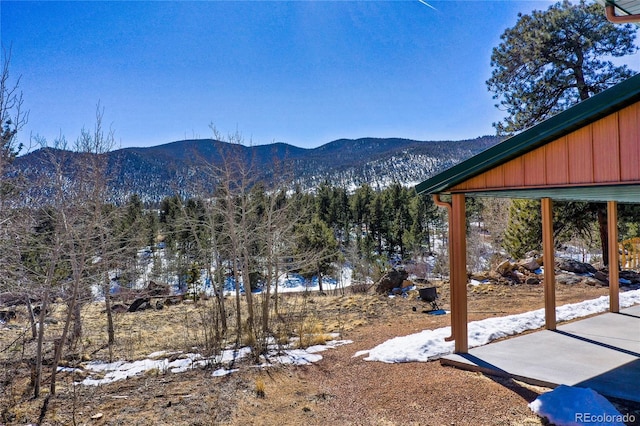 523 Pulver Rd, Lake George, CO 80827 - view of mountain background