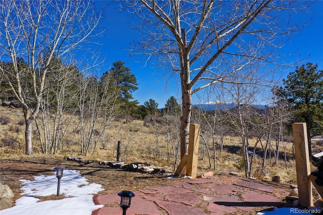 523 Pulver Rd, Lake George, CO 80827 - view of yard