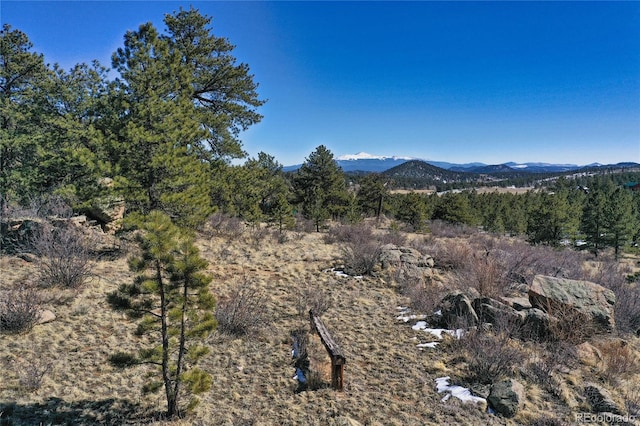 523 Pulver Rd, Lake George, CO 80827 - view of mountain backdrop with a heavily wooded area