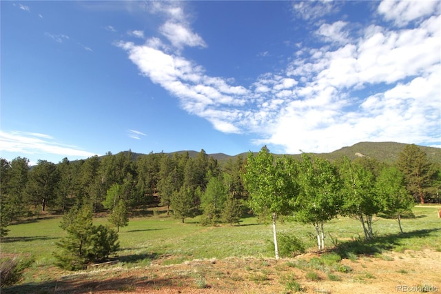 523 Pulver Rd, Lake George, CO 80827 - view of mountain backdrop