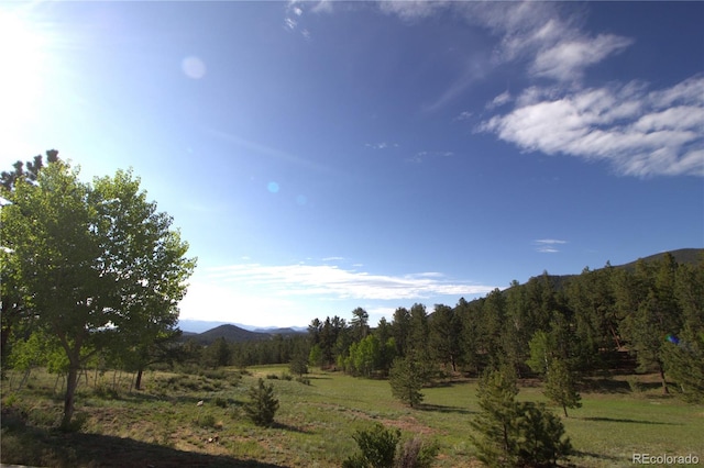 523 Pulver Rd, Lake George, CO 80827 - view of mountain background