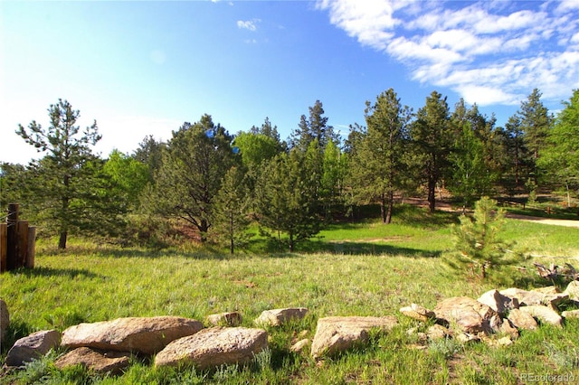 523 Pulver Rd, Lake George, CO 80827 - view of yard