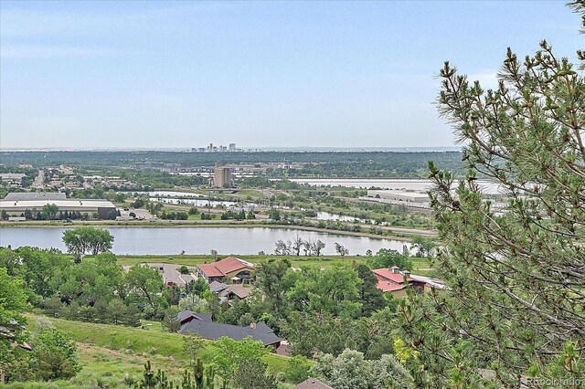 17313 W 43rd Dr, Golden, CO 80403 - photo 34