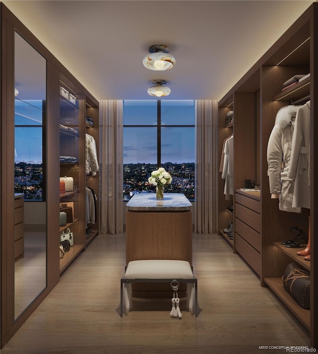 185 Steele St Unit 408, Denver, CO 80206 - spacious closet with light wood finished floors