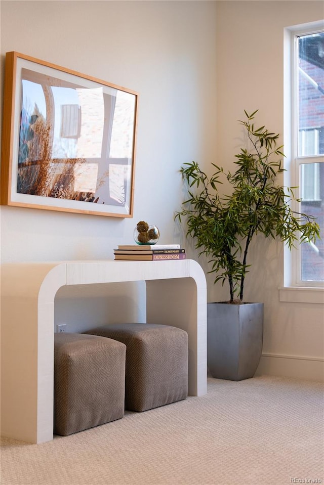 living area with carpet