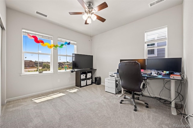 4757 Augustine Ct, Castle Rock, CO 80108 - photo 23