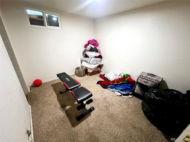 workout room featuring carpet floors