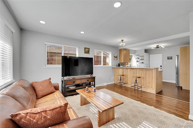 living room with light hardwood / wood-style floors