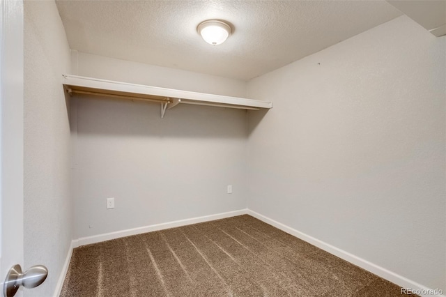 walk in closet with dark colored carpet