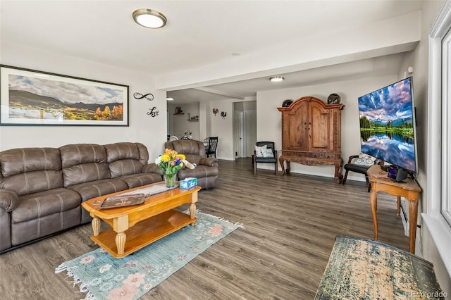 1775 Longbranch St, Strasburg, CO 80136 - living room with wood finished floors