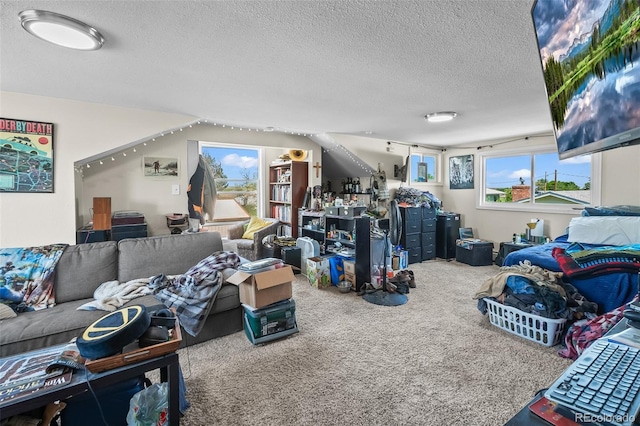 1775 Longbranch St, Strasburg, CO 80136 - living area with carpet floors and a textured ceiling