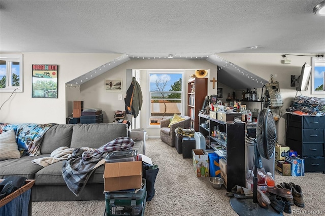 1775 Longbranch St, Strasburg, CO 80136 - living room with carpet flooring, a textured ceiling, and vaulted ceiling