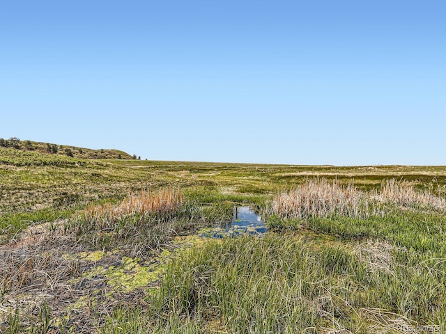 11750 S State Highway 83, Franktown, CO 80116 - photo 12
