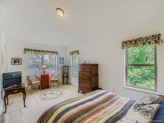 1968 S Clarkson St, Denver, CO 80210 - photo 23