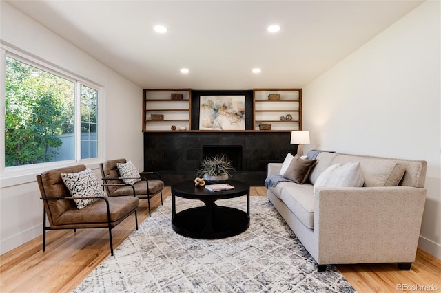 living room featuring hardwood / wood-style floors