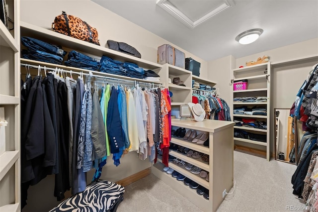 spacious closet featuring attic access and carpet floors