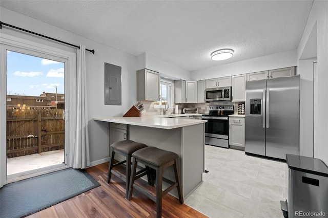 kitchen with electric panel, stainless steel appliances, light hardwood / wood-style flooring, and a healthy amount of sunlight