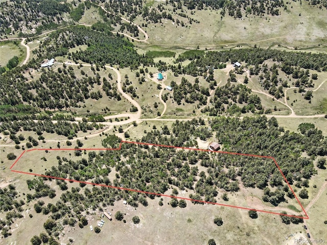 396 Stratton Cir, Cripple Creek, CO 80813 - photo 1