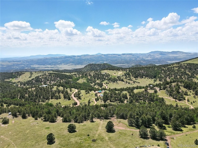 396 Stratton Cir, Cripple Creek, CO 80813 - photo 4