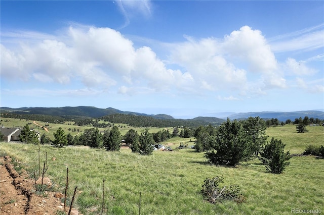 396 Stratton Cir, Cripple Creek, CO 80813 - photo 7