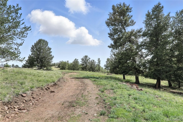 396 Stratton Cir, Cripple Creek, CO 80813 - photo 8
