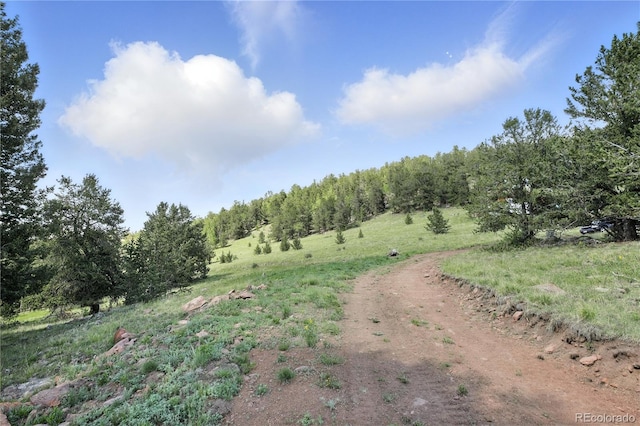 396 Stratton Cir, Cripple Creek, CO 80813 - photo 9