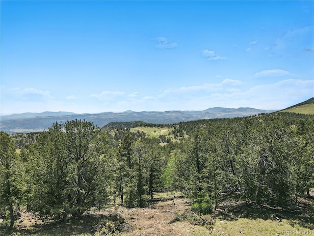 396 Stratton Cir, Cripple Creek, CO 80813 - photo 12