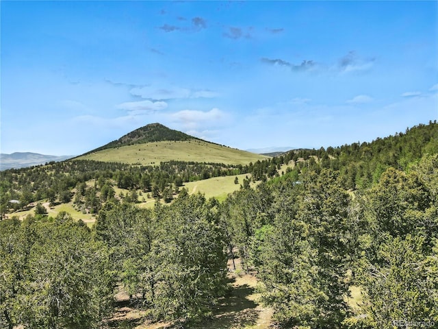 396 Stratton Cir, Cripple Creek, CO 80813 - photo 14