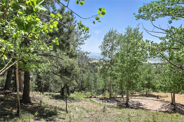 396 Stratton Cir, Cripple Creek, CO 80813 - photo 16
