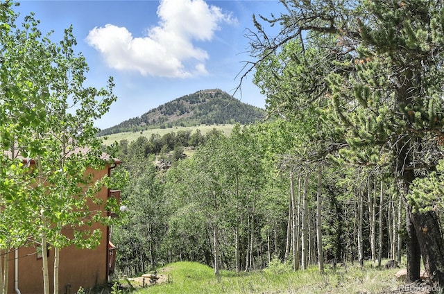 396 Stratton Cir, Cripple Creek, CO 80813 - photo 18