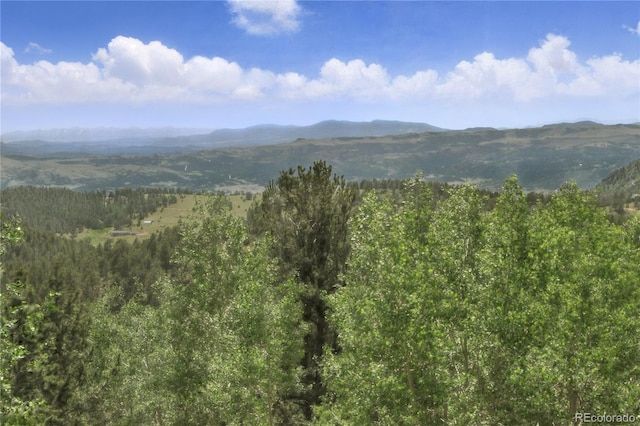396 Stratton Cir, Cripple Creek, CO 80813 - photo 22