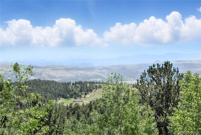 396 Stratton Cir, Cripple Creek, CO 80813 - photo 24