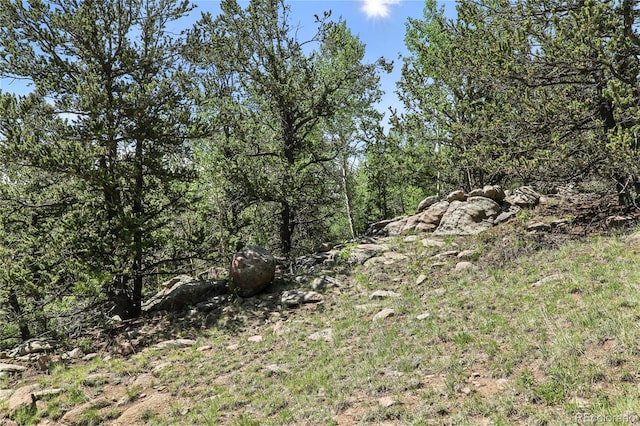 396 Stratton Cir, Cripple Creek, CO 80813 - photo 26