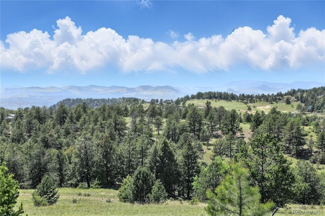 396 Stratton Cir, Cripple Creek, CO 80813 - photo 28