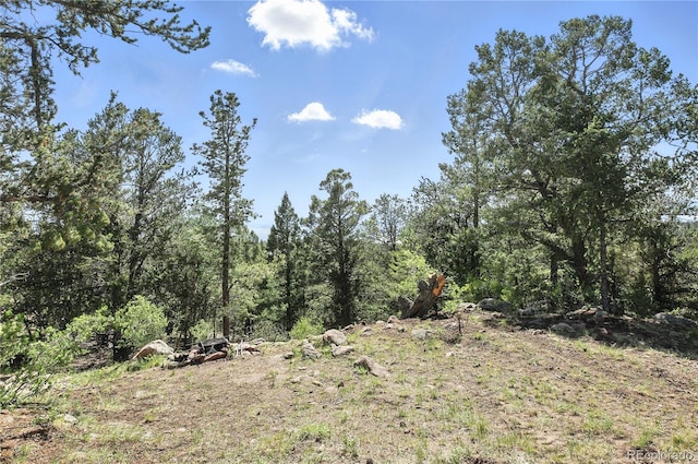 396 Stratton Cir, Cripple Creek, CO 80813 - photo 30