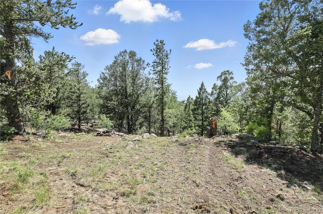 396 Stratton Cir, Cripple Creek, CO 80813 - photo 32