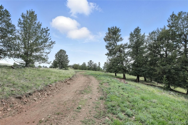396 Stratton Cir, Cripple Creek, CO 80813 - photo 34